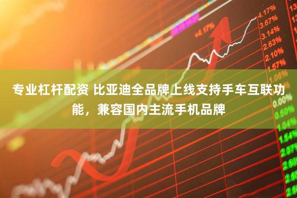 专业杠杆配资 比亚迪全品牌上线支持手车互联功能，兼容国内主流手机品牌